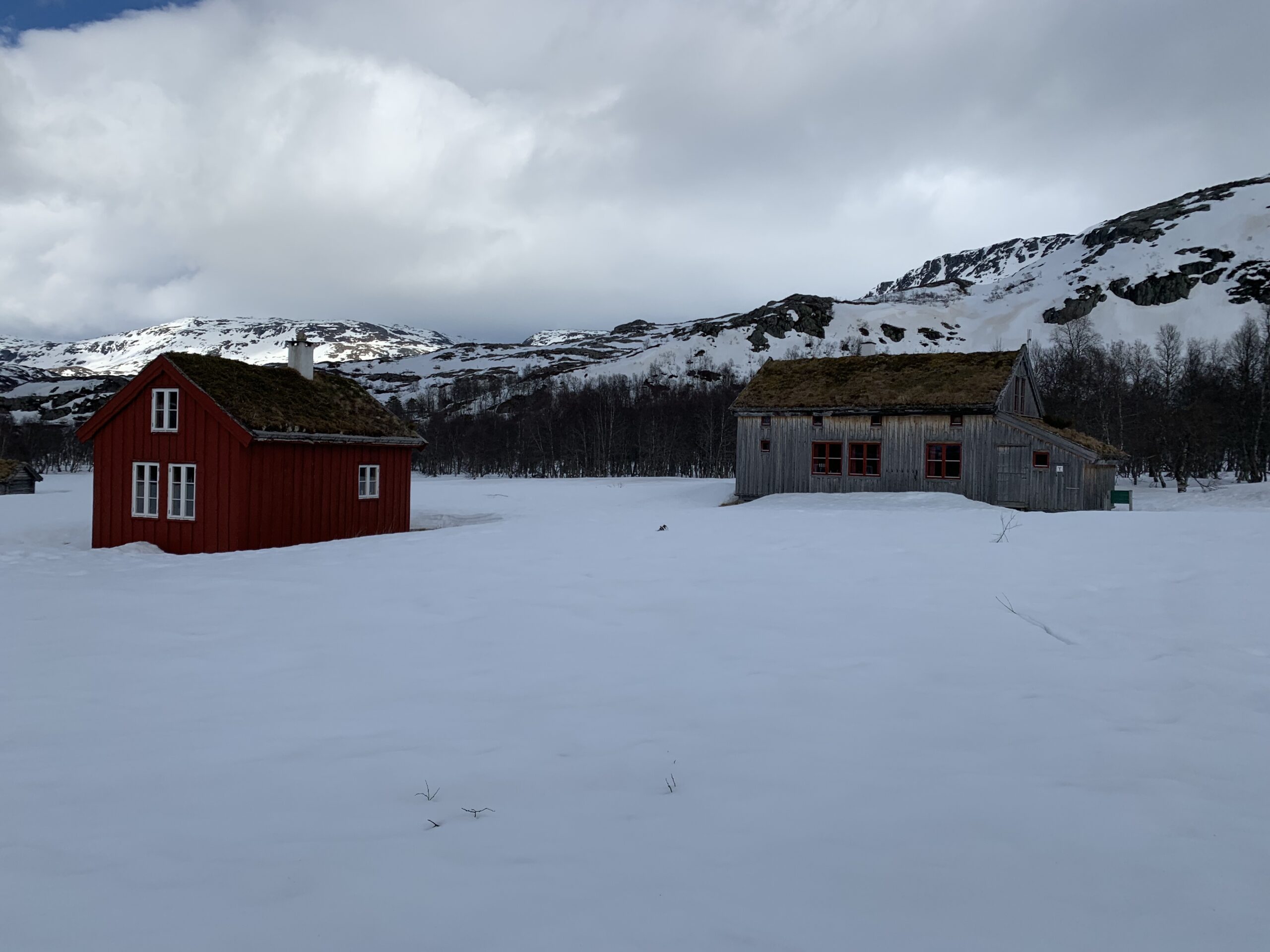 You are currently viewing Day 26 – Enkelt og mye nedover, trodde vi (Easy pesy lots of downhill, we thought)