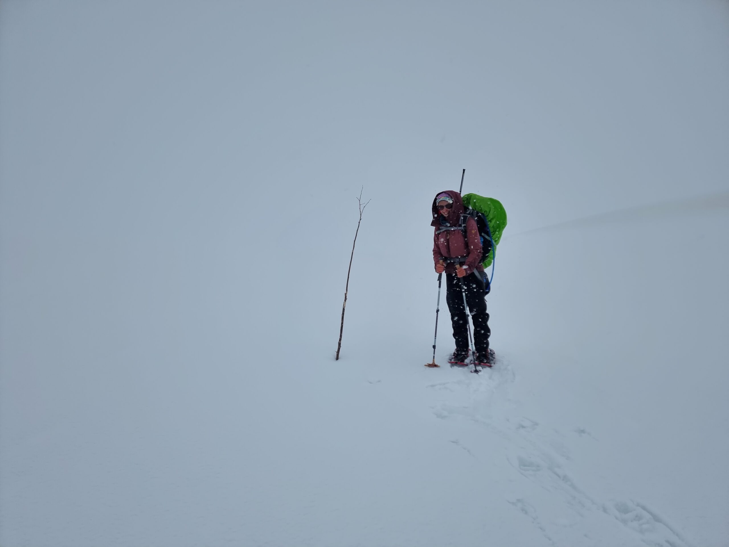 You are currently viewing Day 39 – Lite med sikt oppe på fjellet (Reduced visibility up at the mountain)