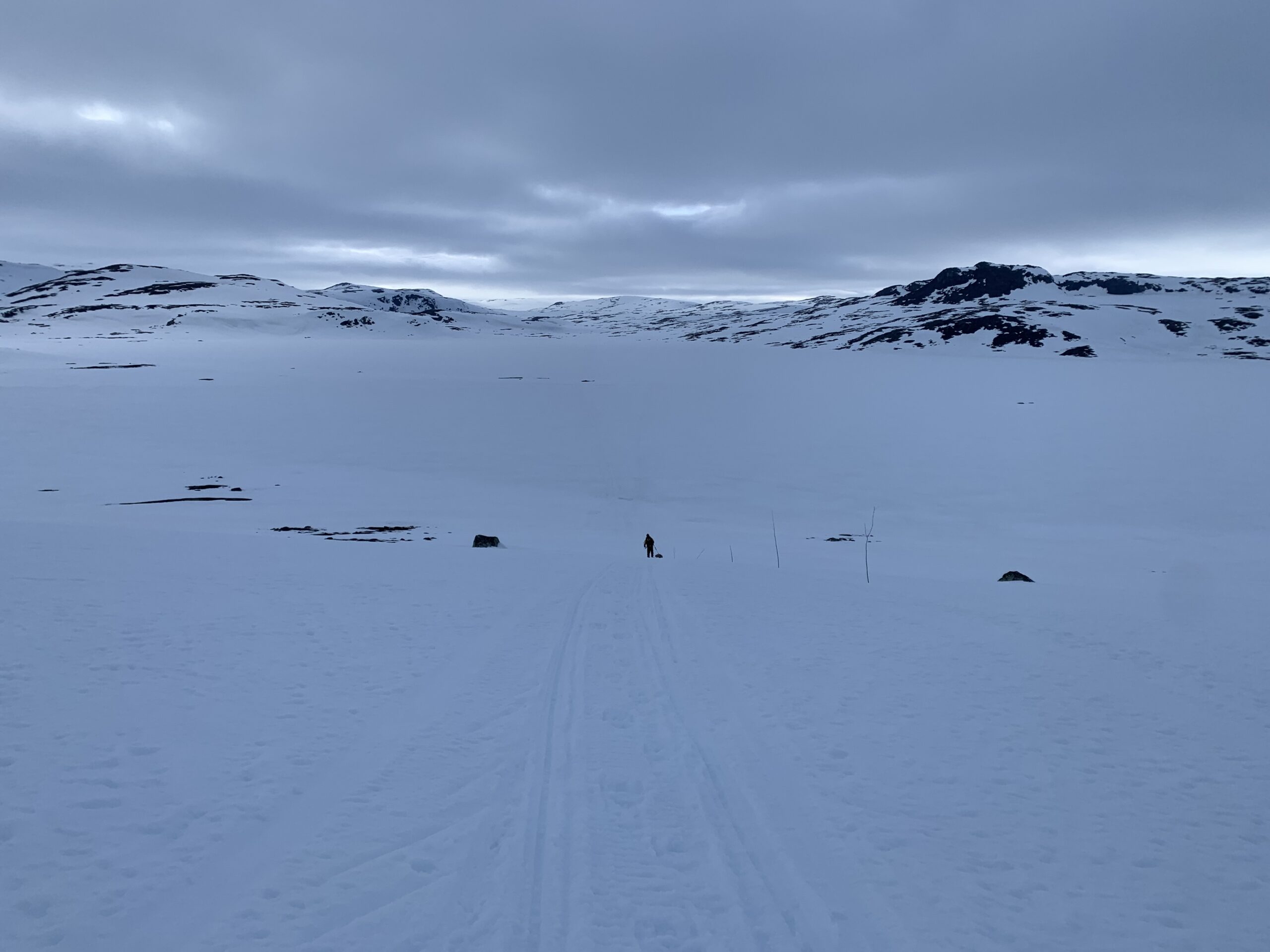 You are currently viewing Day 33 – Mye vind og lang dag (Windy and a long day)