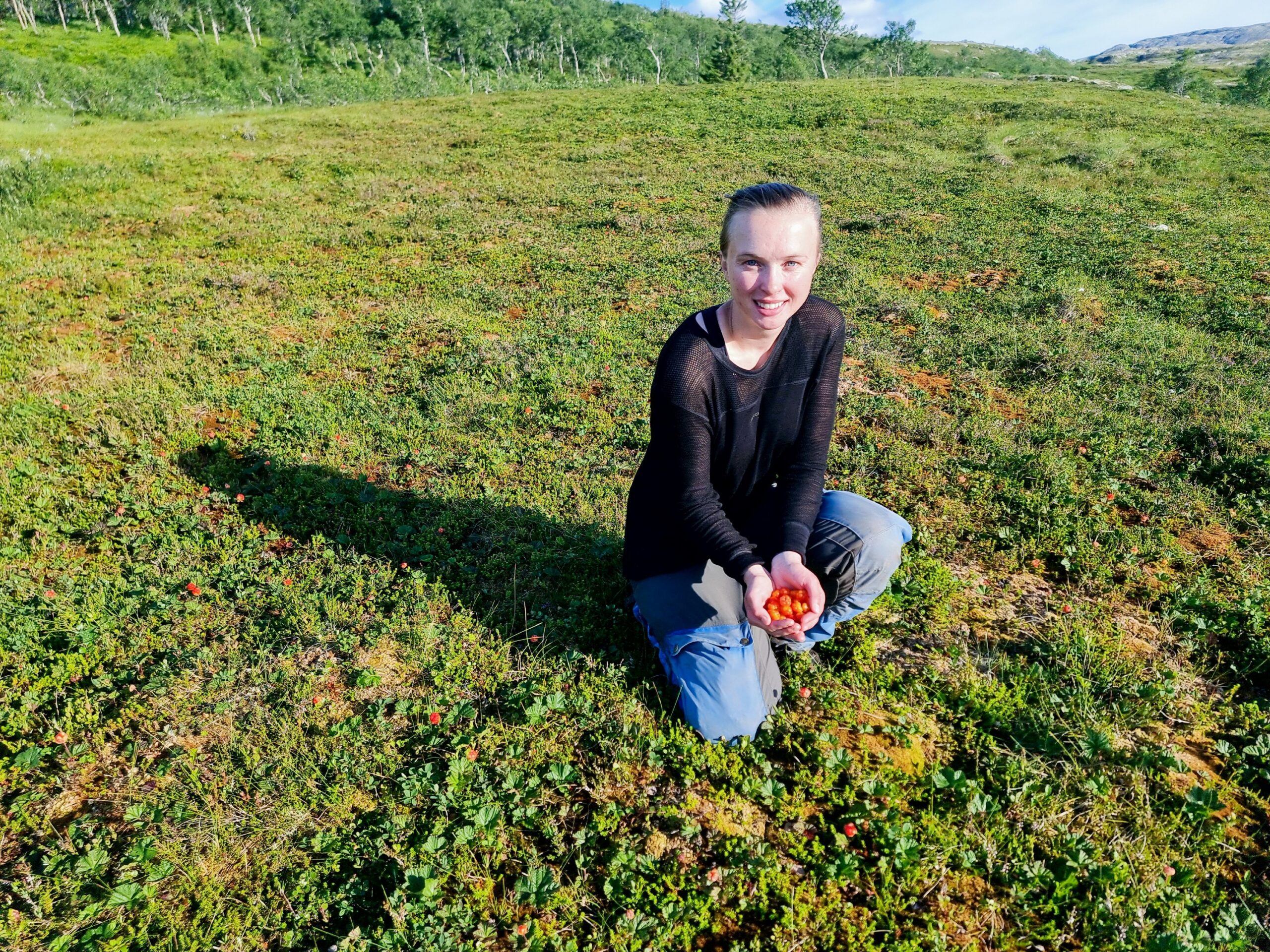 Read more about the article Day 96 – Masse målte (Lots of cloudberries)