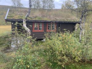 Read more about the article Day 126 – Jaktsesongen er i gang (Hunting season has started)